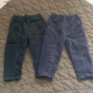 Zara Corduroy Pant Bundle 2-3Y